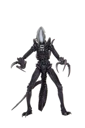 Alien vs. Predator Action Figures - Razor Claws (Movie Deco)