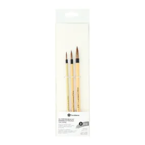 All Purpose Brush Set (SW-SET)