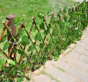 Plant Climb Trellis Extension Type Garden Buildings Anticorrosive Wood Pull Net Wall Fence Garden Home Wall Decoration