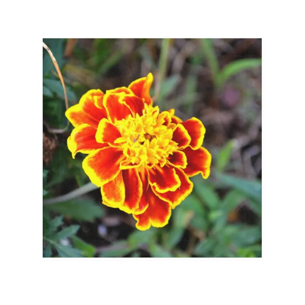 Red and Yellow Flower Face Towel