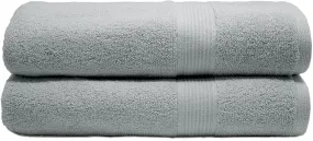 Silver Dobby Border Allure Bath Towel 24x50" 1pc